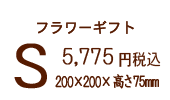 �r�@5,250�~�ō�
